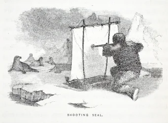 Shooting Seal (illustration from 